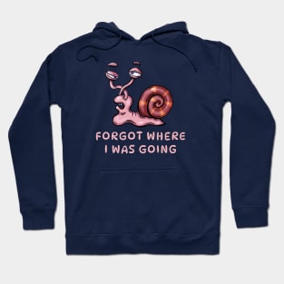 Lost Snail Hoodie